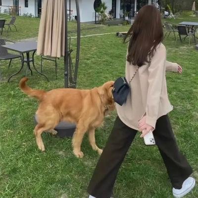 杀死比尔